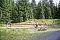 Filzalmsee-9.jpg