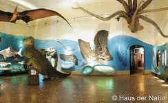 Haus-der-Natur