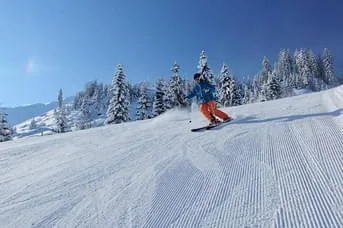 Winter Bild 9