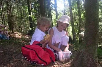 Gäste Bild 23