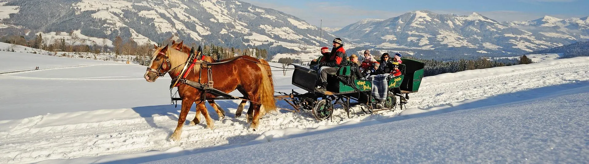 Pferdeschlittenfahrten in der Region der Kitzb&uuml;hler Alpen