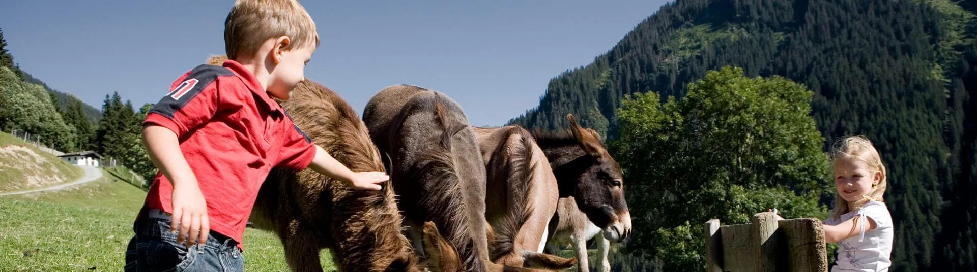 Kinder können die Tiere hautnah erleben