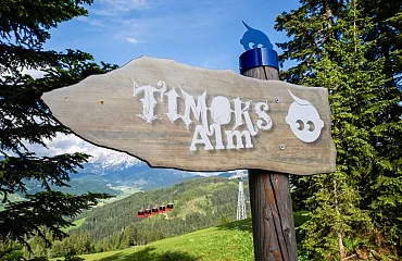 Timoks Alm - Bergbahn Fieberbrunn - Streuböden