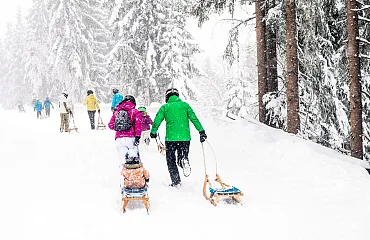 Rodeln durch die tiefverschneite Winterlandschaft