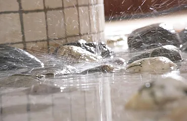 Das Wasser plätschert beruhigend auf die Steine